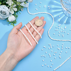 3 нити натуральных бусин из ракушек трохид/трохус SSHEL-FH0001-12