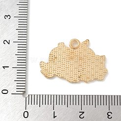 Подвески из сплава на день благодарения&nbsp;ENAM-R007-01G-08