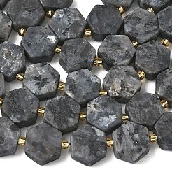 Натуральные нити бус из ларвикита&nbsp;G-A291-A02-01