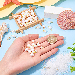 60шт 3 стиля подвески из натурального культивированного пресноводного жемчуга PALLOY-CW00002