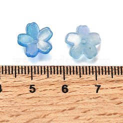 Акриловый шарик крышки OACR-I024-01J