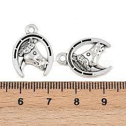 Сплавочные подвески тибетского стиля&nbsp;TIBE-B003-19AS