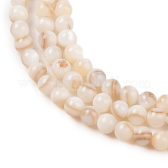 Нити бусин из натуральных пресноводных ракушек SHEL-T011-02-3mm