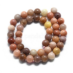 Естественный окаменелого дерева круглые бусины пряди&nbsp;G-D356-C01-8mm