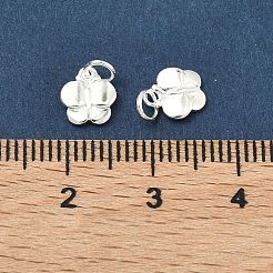 925 серебряный шарм&nbsp;STER-A050-03C-S