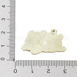 Pendentifs d'émail en alliage&nbsp;LS-ENAM-P253-01G-G