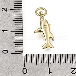 Pendentifs en laiton&nbsp;KK-CBA79EB-05C-G