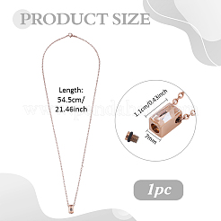 Urna con colgante rectangular de acero inoxidable 304 con vidrio transparente para cenizas&nbsp;NJEW-WH0013-83RG