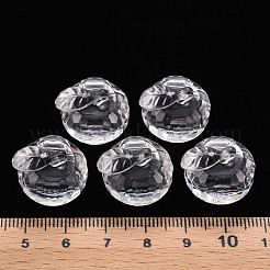 Прозрачные акриловые подвески&nbsp;TACR-T024-05B-205