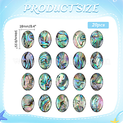 天然パウア貝カボション（エナメル加工）20個  オーバル  カラフル  14x10mm&nbsp;BSHE-WR0001-04