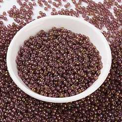 Perline rotonde miyuki rocailles&nbsp;X-SEED-G008-RR0301