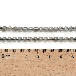 Натуральный черный лунный камень бисер пряди&nbsp;G-L631-A05-4mm