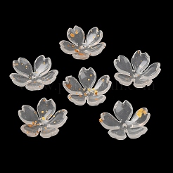 Акриловый шарик крышки OACR-H056-01A