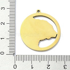 201 подвеска из нержавеющей стали&nbsp;LS-STAS-R118-04G