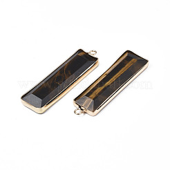 Природных тигровый глаз подвески&nbsp;G-S359-386D