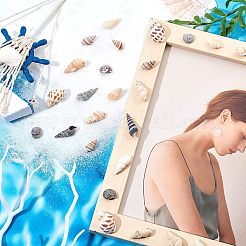 140 шт. 2 вида натуральных ракушечных бусин SSHEL-FH0001-08