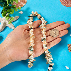 1 нить бусин из натуральных ракушек&nbsp;SSHEL-TA0001-12