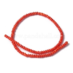 Нити бусин из натуральных пресноводных ракушек&nbsp;SSHEL-C013-08A