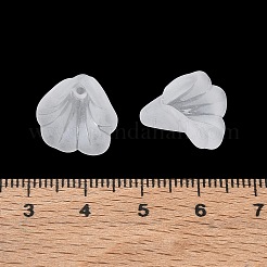 Embouts de perles acryliques dépolis&nbsp;AC-CBA81FF-04A