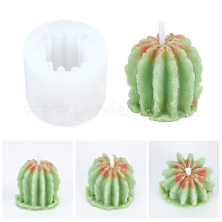Kits de moules à plantes succulentes à faire soi-même&nbsp;DIY-GF0003-19