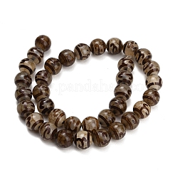 Stile tibetano perline dzi fili&nbsp;GG-CBA4812-B08-10MM