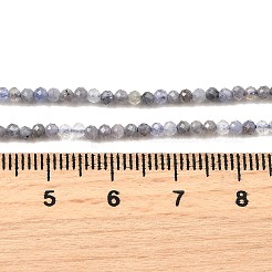 Натуральный танзанит бисер пряди G-S387-A01-2mm