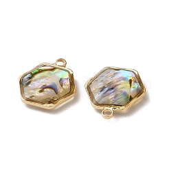 Подвески-шестиугольники из натуральной смолы из ракушек пауа&nbsp;KK-F865-22G