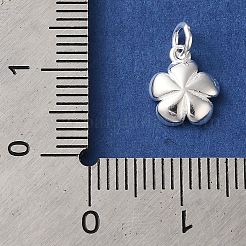 925 серебряный шарм&nbsp;STER-M120-01D-S