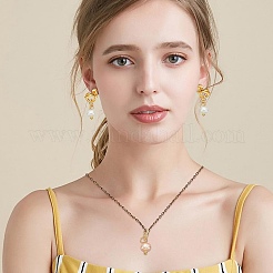 48 шт. двухцветные перламутровые двухсторонние полированные подвески&nbsp;PALLOY-AR00005