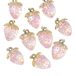 10шт прозрачные акриловые подвески MACR-FS0002-08B