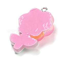 Подвески из полупрозрачной смолы&nbsp;LS-RESI-G078-01H