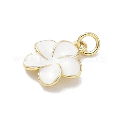 Ciondoli smaltato in ottone&nbsp;KK-CBA3F25-07G