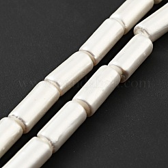 電気めっきシェルパールビーズ連売り  洗練された  コラム  ホワイト  14~15x6~6.5mm  穴：0.8mm  約26個/連  15.28インチ（38.8cm）&nbsp;BSHE-G027-07A-01