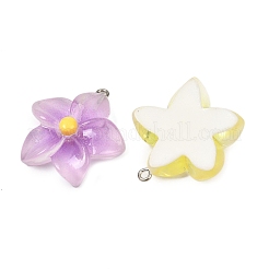 Подвески из непрозрачной смолы&nbsp;RESI-G117-01