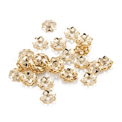 Multi-Blütenblatt Messing Perlenkappen, langlebig plattiert, Gestell, hohle Blume, echtes 14k vergoldet, 5x1 mm, Bohrung: 1 mm
