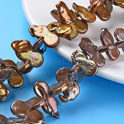 Naturales keshi abalorios de perlas hebras, perla cultivada de agua dulce, teñido, calabaza, saddle brown, 20~28x10~12x2~6mm, agujero: 0.5 mm, aproximamente 44~50 pcs / cadena, 16.53~17.32 pulgada (42~44 cm)