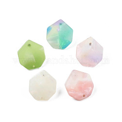 Cellulose Acetate(Resin) Stud Earring Findings, with 316 Stainless Steel Pins and Hole, Heptagon, Mixed Color, 22x20mm, Hole: 1.2mm, Pin: 0.7mm