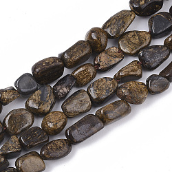 Natur Bronzit Perlen Stränge, Nuggets, getrommelt Stein, 5~11x5~8x3~6 mm, Bohrung: 0.8 mm, etwa: 52~56 Stk. / Strang, 15.94 Zoll (40.5 cm)