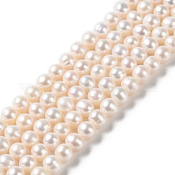 Chapelets de perles de nacre naturell, ronde, niveau 2a+, fumée blanche, 6~7x6~6.5mm, Trou: 0.7mm, Environ 56 pcs/chapelet, 13.78 pouce (35 cm)