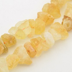 Pépites de citrine naturelle brins de perles, 12~16x6~15mm, Trou: 1mm, environ 15.7 pouce