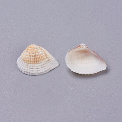 Perles en coquillage naturel, perles non percées / sans trou, 20~35x20~35mm, 500 g / sac
