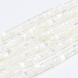 Fili di perle di conchiglia trochid naturale / trochus, colonna, bianco, 3.5~4x2~2.5mm, Foro: 0.8 mm, circa 176pcs/filo, 15.94 pollice (40.5 cm)