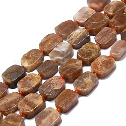 Chapelets de perles de sunstone naturelle naturelles, rectangle, 15~17x10~13x5~7mm, Trou: 1mm, Environ 22 pcs/chapelet, 15.94'' (40.5 cm)