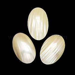 Cabochon guscio naturale, ovale, bianco, 26x16~17x5~7mm