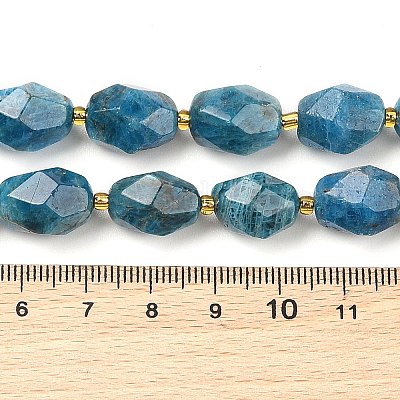 Natürliche Apatit Perlen Stränge&nbsp;G-P541-A01-06-1