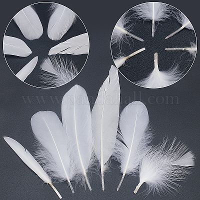 Wholesale GORGECRAFT 6 Style 240PCS White Craft Feathers Bulk