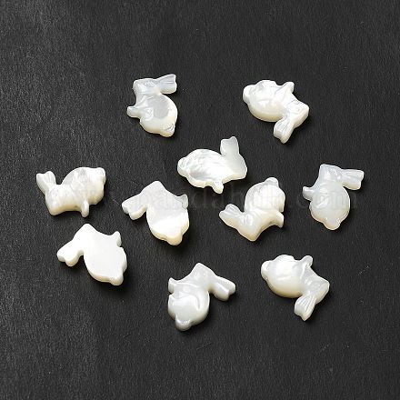 Perles de coquillage blanc naturel BSHE-E026-08-1