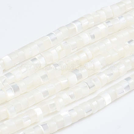 Fili di perle di conchiglia trochid naturale / trochus X-SSHEL-L016-13A-1