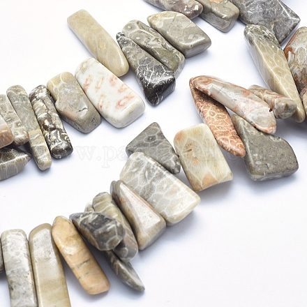 Fossiles naturelle perles de corail brins G-K256-66A-1