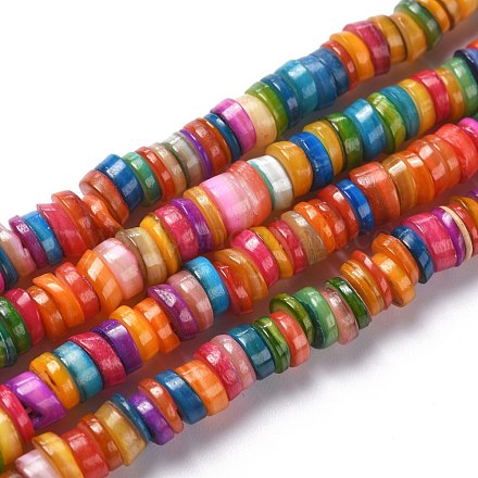 Natural Freshwater Shell Beads Strands SHEL-C001-06A-1